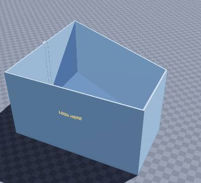 Ames-room illusion box
