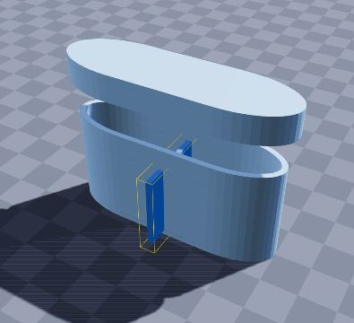 Earplug case