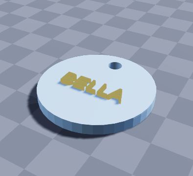 Round dog tag